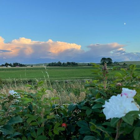 Aengahuset Villa Glemminge Eksteriør bilde