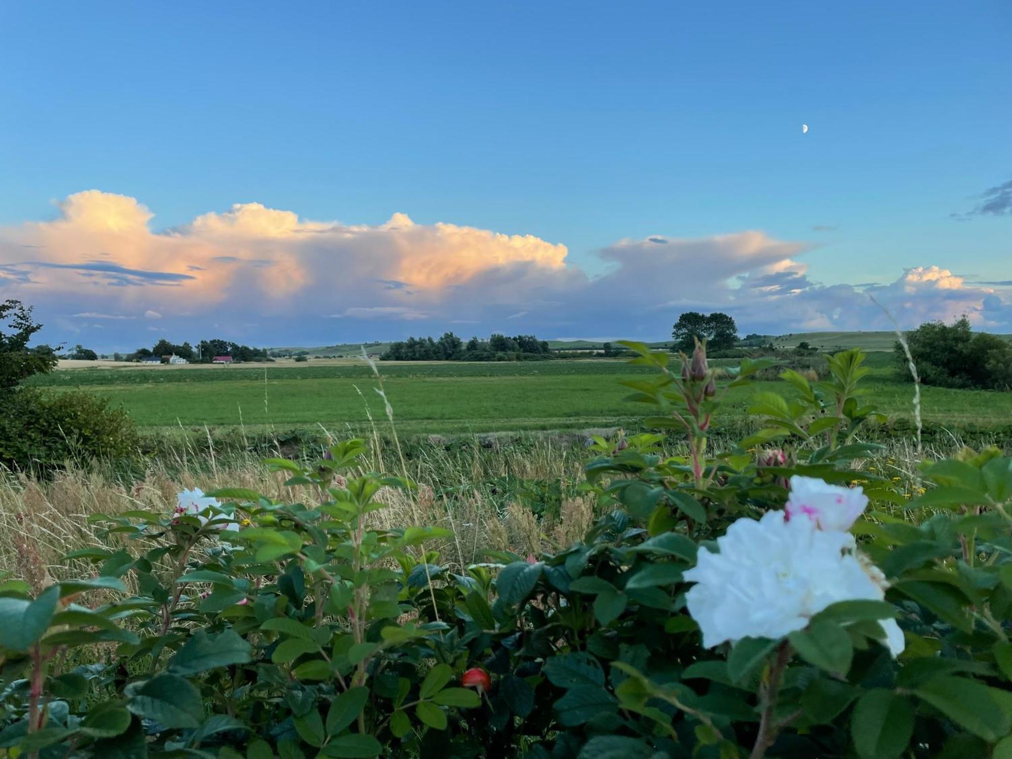 Aengahuset Villa Glemminge Eksteriør bilde